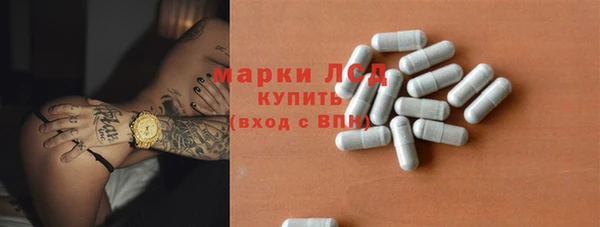эйфоретик Белокуриха